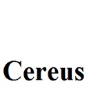 Cereus