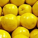 Грейпфрут Citrus paradisi