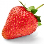 Клубника Fragaria