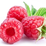 Малина Rubus idaeus