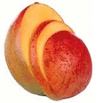 Манго genus Mangifera