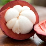 Мангостин Garcinia mangostana