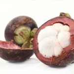 Мангостин Garcinia mangostana