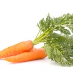 Семена моркови Daucus carota (Umbelliferae)