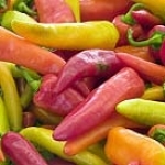 Стручковый перец Capsicum