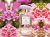 Aerin Lauder Wild Geranium poster