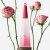 Issey Miyake L Eau d Issey Rose Rose poster