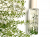 Jo Malone Nettle and Wild Achillea poster