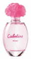 Cabotine Rose