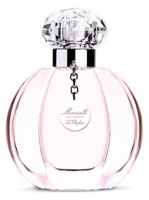 Morriselle Pour Elle Le Parfum